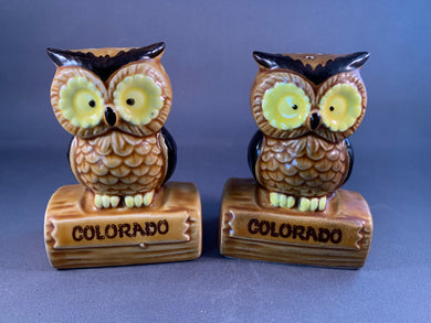 Colorado Owl Porcelain Salt Shaker Vintage Japan