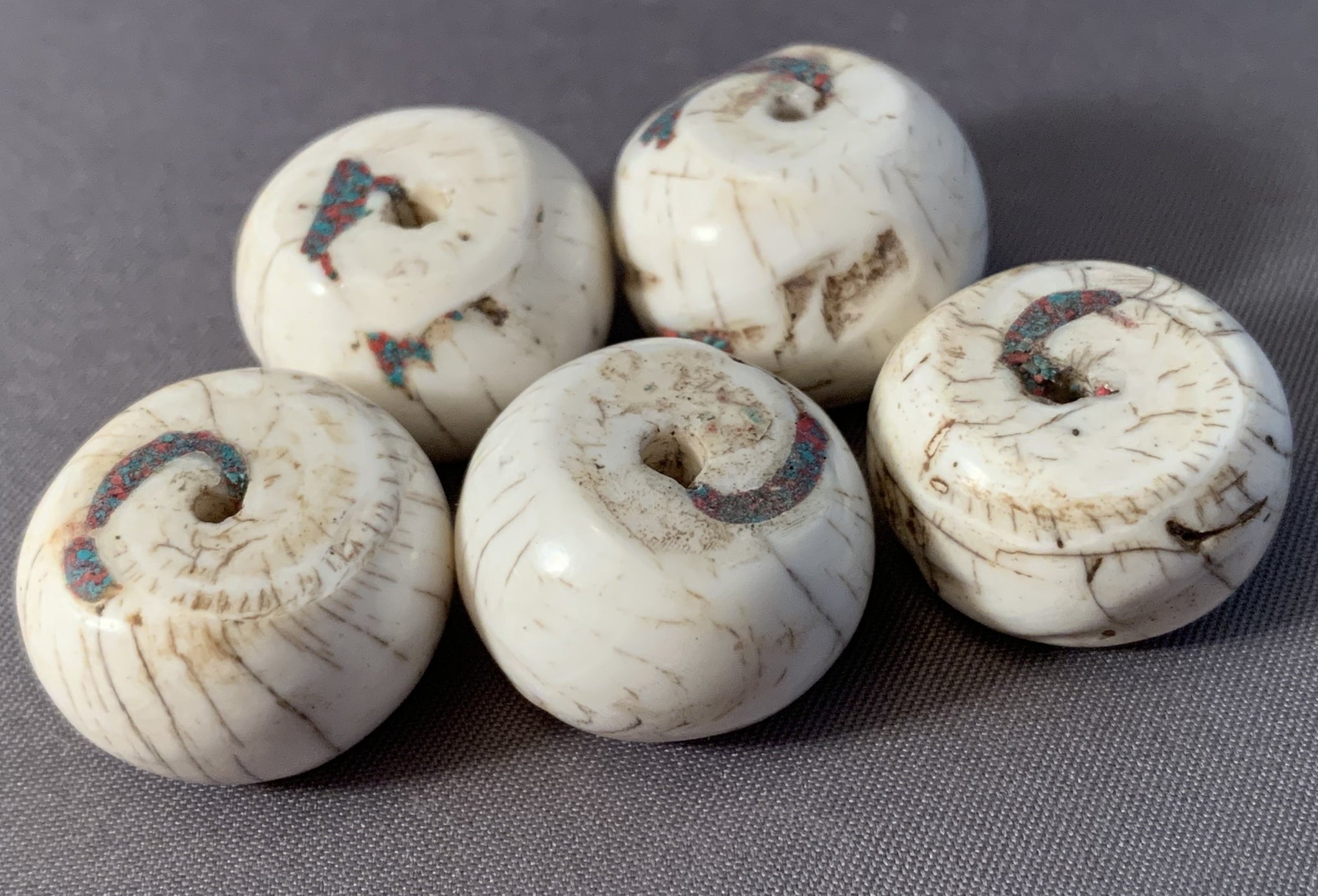 12 Conch Shell Beads from Nepal/Tibet