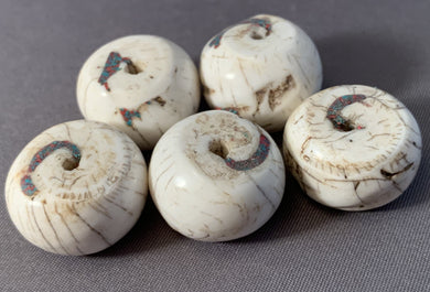 5 Tibetan Conch Shell Beads with Turquoise and Coral Inlay